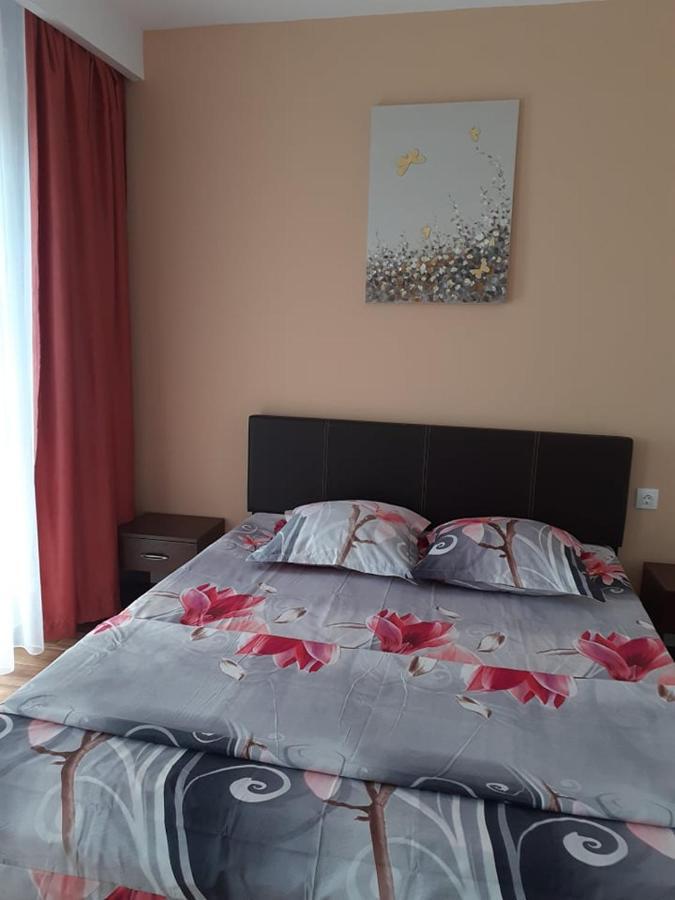 Apartmán Casa Roxana Slatina  Exteriér fotografie